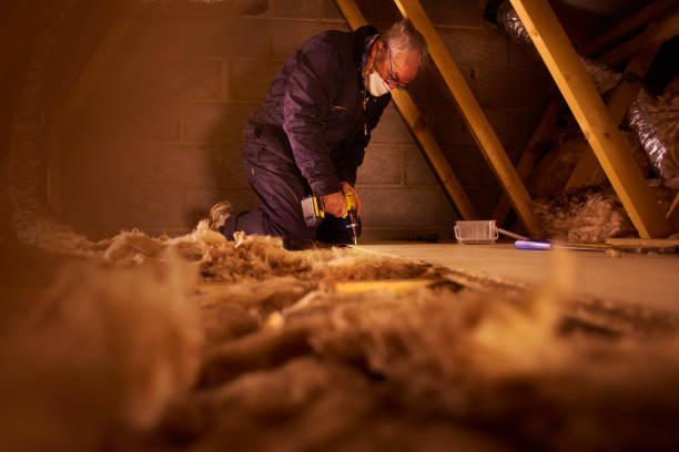 Best Commercial Insulation in Fayette, MO